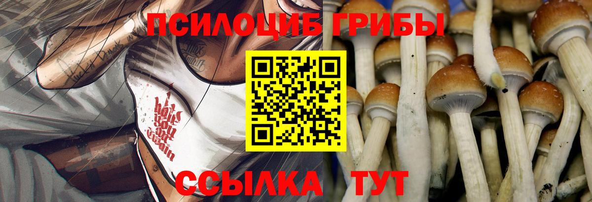 Галлюциногенные грибы Psilocybine cubensis Чапаевск